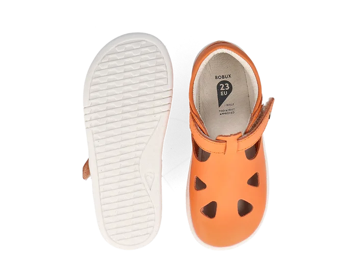 Zap II I-Walk